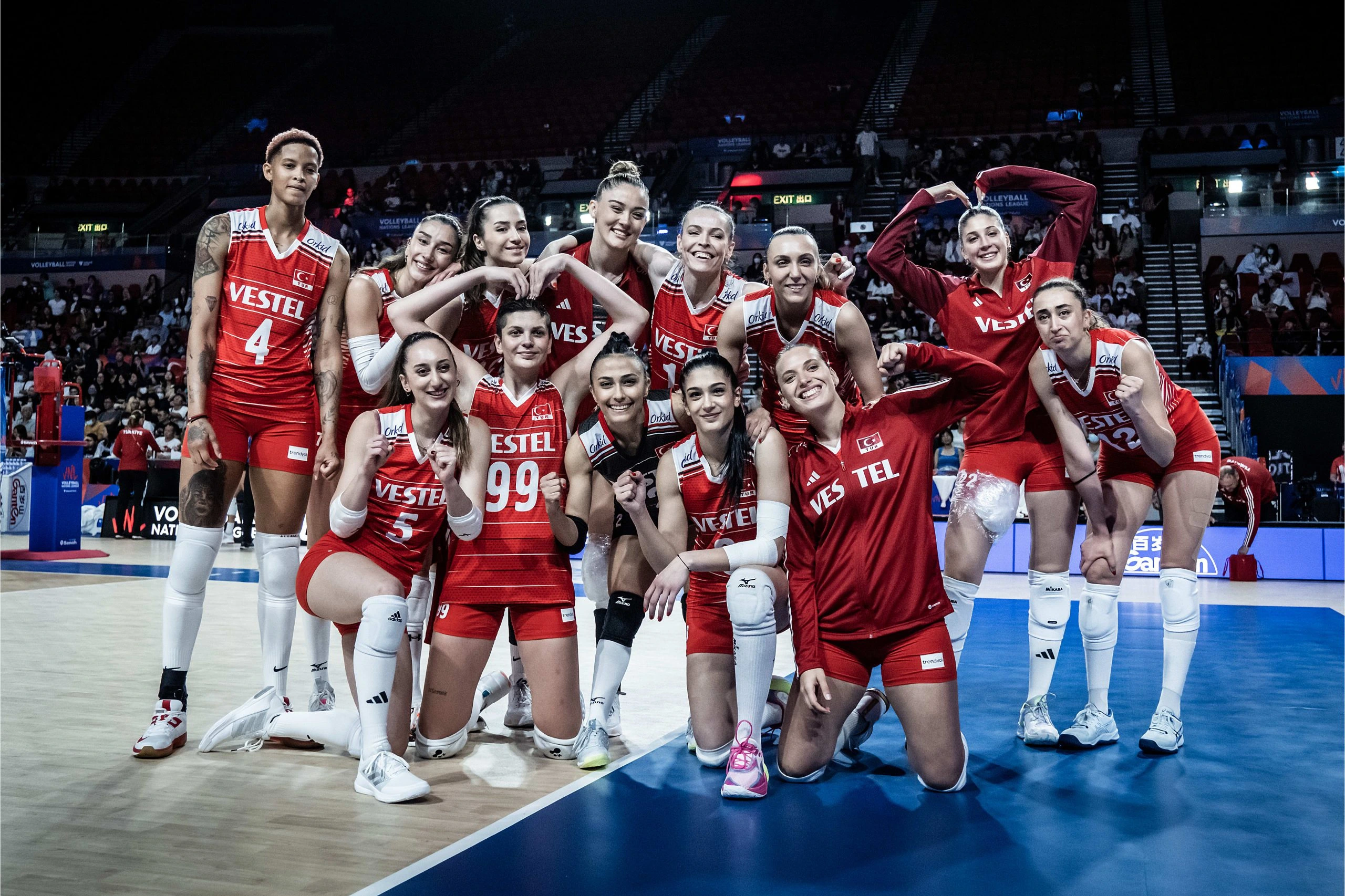 Türkiye - Brezilya Voleybol